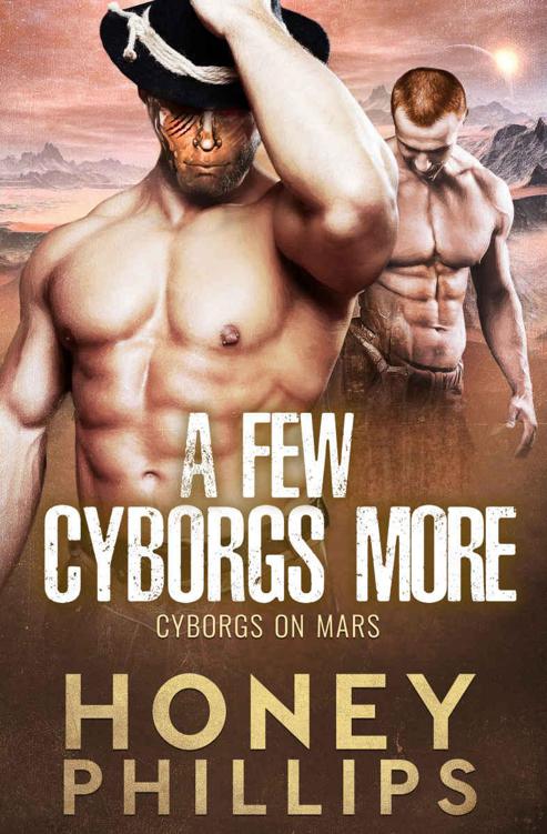 A Few Cyborgs More